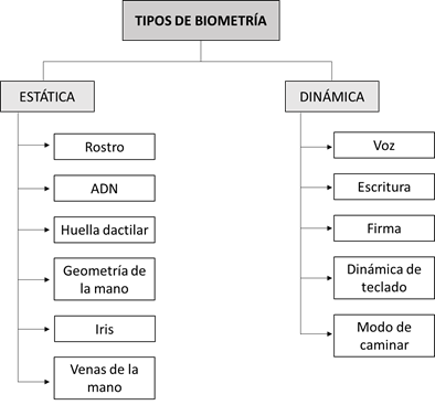 Texto

Descripción generada automáticamente